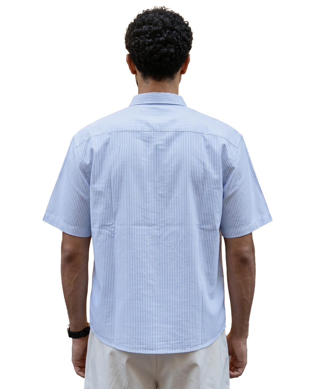 baby blue x white 